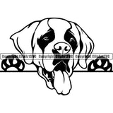 Saint Bernard Peeking Dog Breed ClipArt SVG 008