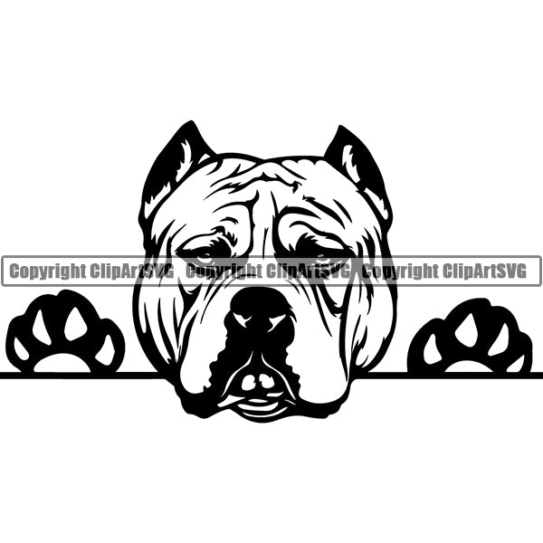 Pit Bull Peeking Dog Breed ClipArt SVG 010
