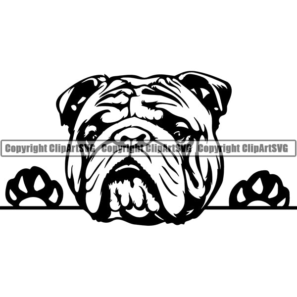 English Bulldog Peeking Dog Breed ClipArt SVG 010