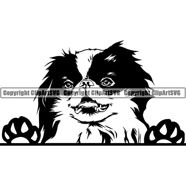 Japanese Chin Peeking Dog Breed ClipArt SVG 001