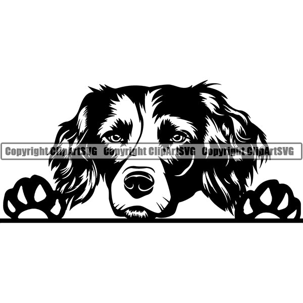 English Springer Spaniel Peeking Dog Breed ClipArt SVG 003