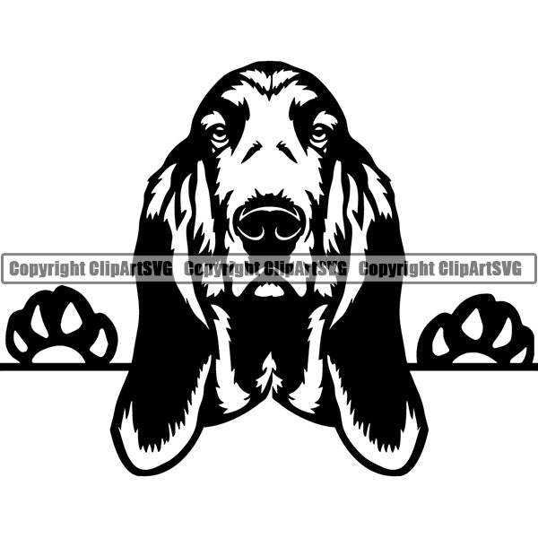 Basset Hound Peeking Dog Breed Clipart SVG 003