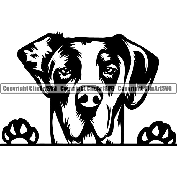 Great Dane Peeking Dog Breed ClipArt SVG 009