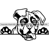 Boxer Peeking Dog Breed ClipArt SVG