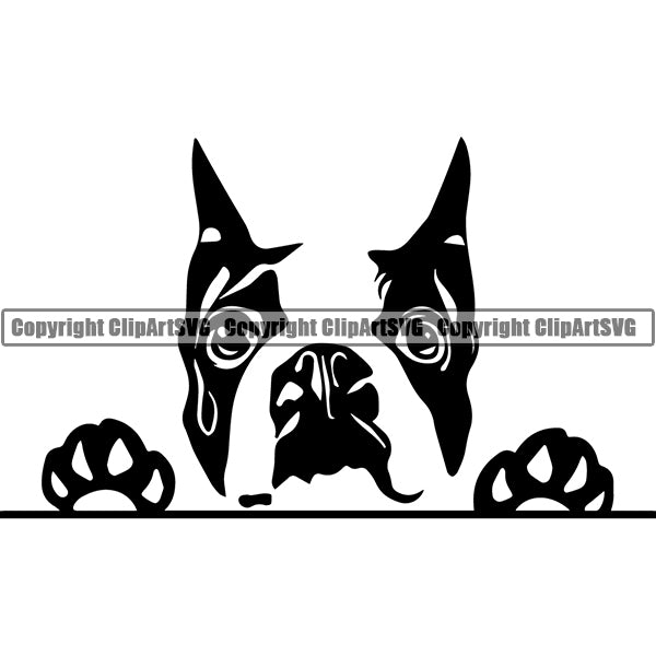 Boston Terrier Peeking Dog Breed Clipart SVG 003