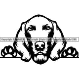 Weimaraner Peeking Dog Breed ClipArt SVG 003