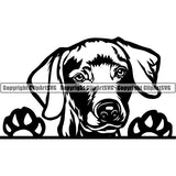 Weimaraner Peeking Dog Breed ClipArt SVG 009
