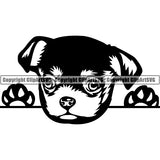 Chihuahua Peeking Dog Breed Clipart SVG 018