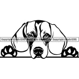 Beagle Peeking Dog Breed ClipArt SVG