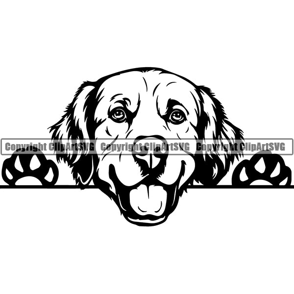 Golden Retriever Peeking Dog Breed ClipArt SVG 005
