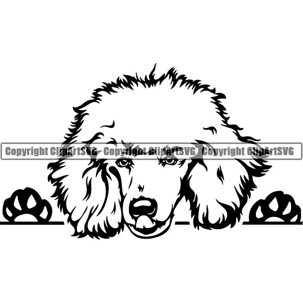 Poodle Peeking Dog Breed ClipArt SVG 001