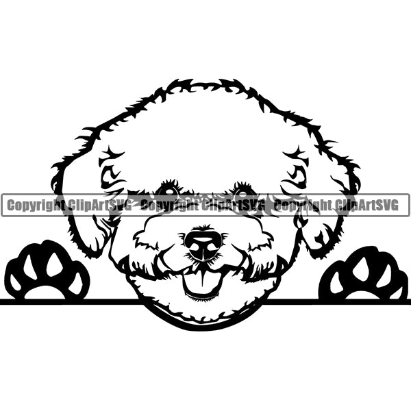 Bichon Frise Peeking Dog Breed Clipart SVG 001