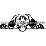 Brittany Spaniel Breed Head Face Clipart SVG 003