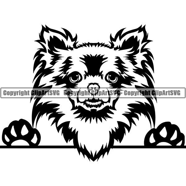 Chihuahua Peeking Dog Breed Clipart SVG 007
