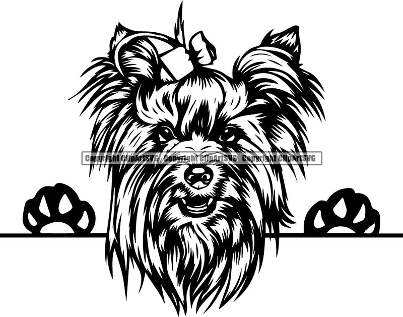 Yorkshire Terrier Peeking Dog Breed ClipArt SVG 007