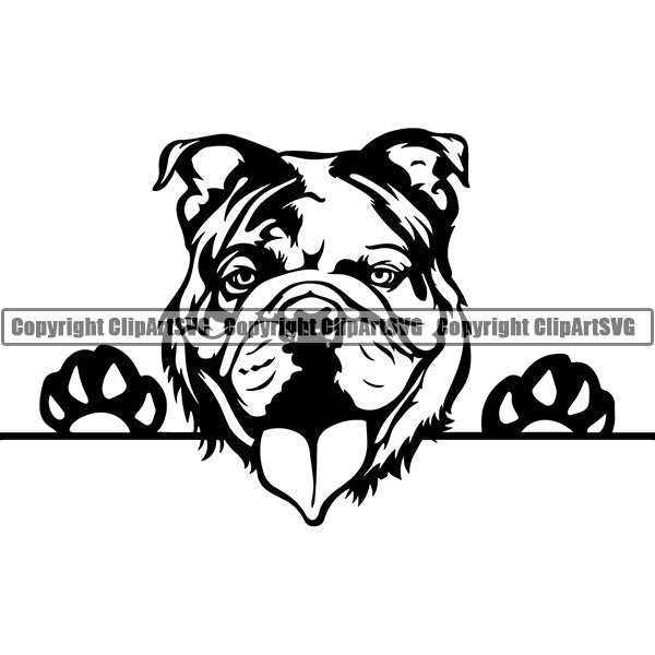 English Bulldog Peeking Dog Breed ClipArt SVG 007
