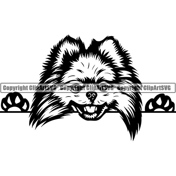 Pomeranian Peeking Dog Breed ClipArt SVG 003