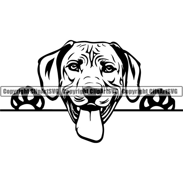 Rhodesian Ridgeback Peeking Dog Breed ClipArt SVG 003