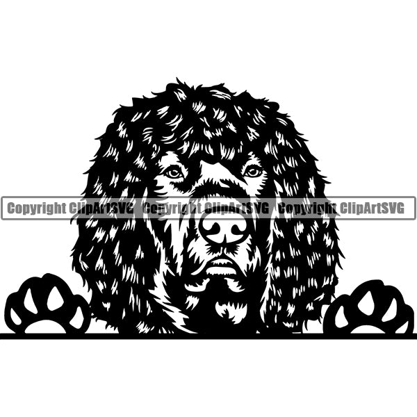 Irish Water Spaniel Peeking Dog Breed ClipArt SVG