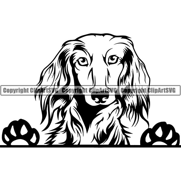 Dachshund Peeking Dog Breed Clipart SVG 003