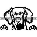 Weimaraner Peeking Dog Breed ClipArt SVG 007