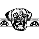 English Mastiff Peeking Dog Breed ClipArt SVG