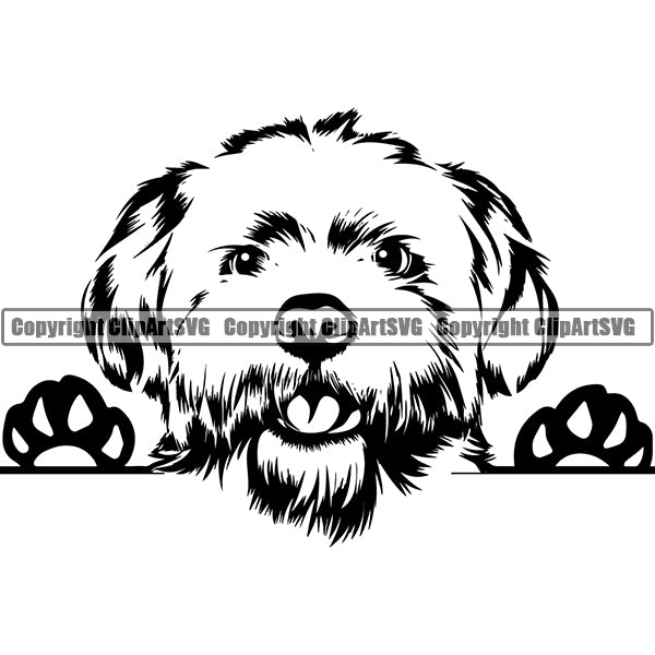 Maltese Peeking Dog Breed ClipArt SVG 006