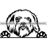 Maltese Peeking Dog Breed ClipArt SVG 004