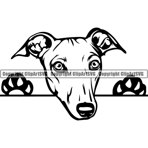 Greyhound Italian Peeking Dog Breed ClipArt SVG