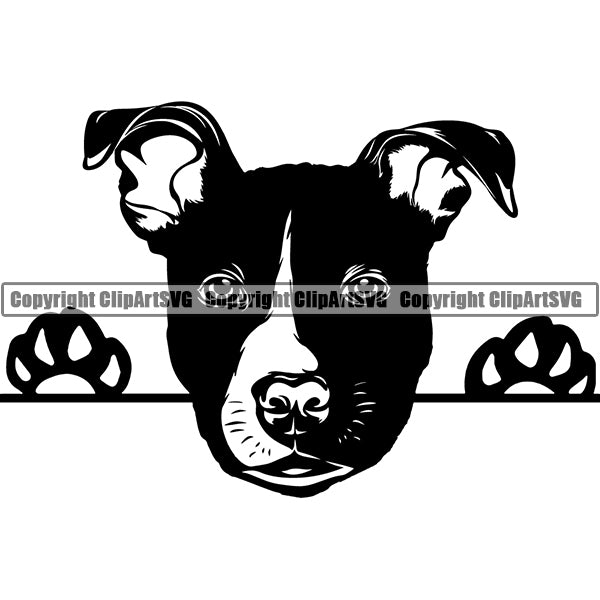 Pit Bull Peeking Dog Breed ClipArt SVG 022