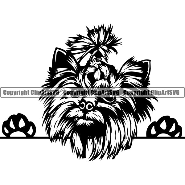 Yorkshire Terrier Peeking Dog Breed ClipArt SVG 008