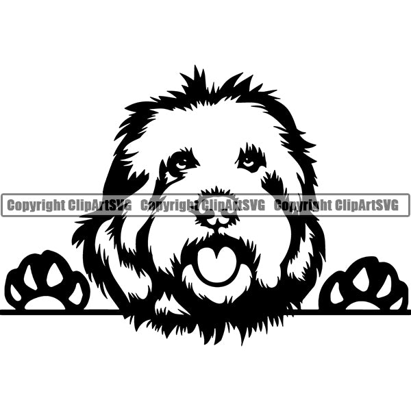 Goldendoodle Peeking Dog Breed ClipArt SVG 003