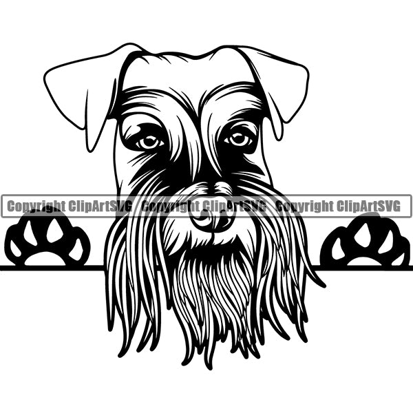 Schnauzer Giant Peeking Dog Breed ClipArt SVG