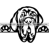 Neapolitan Mastiff Peeking Dog Breed ClipArt SVG 002