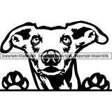 Whippet Peeking Dog Breed ClipArt SVG 002