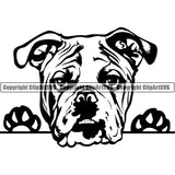 English Bulldog Peeking Dog Breed ClipArt SVG 011