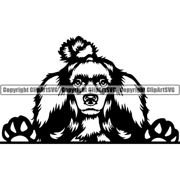 Poodle Peeking Dog Breed ClipArt SVG 006
