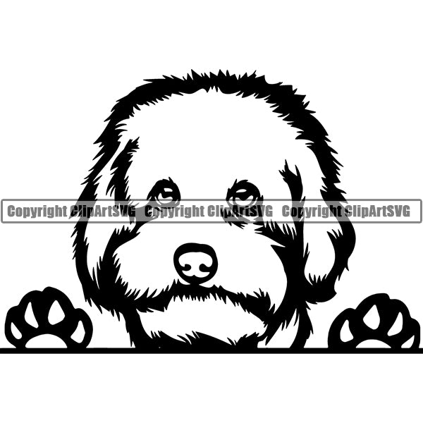 Maltipoo Peeking Dog Breed ClipArt SVG 002