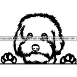 Maltipoo Peeking Dog Breed ClipArt SVG 002