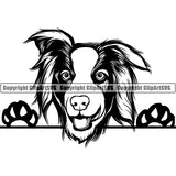 Australian Shepherd Peeking Dog Breed Clipart SVG 005