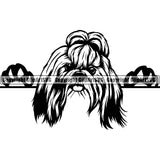 Shih Tzu Peeking Dog Breed ClipArt SVG 001