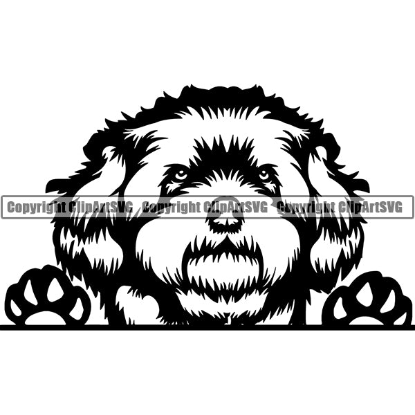 Maltipoo Peeking Dog Breed ClipArt SVG 001
