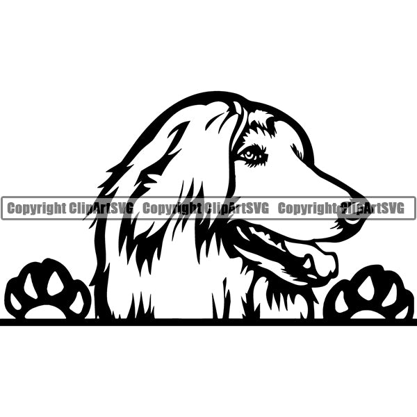 Afgan Hound Peeking Dog Breed Clipart SVG