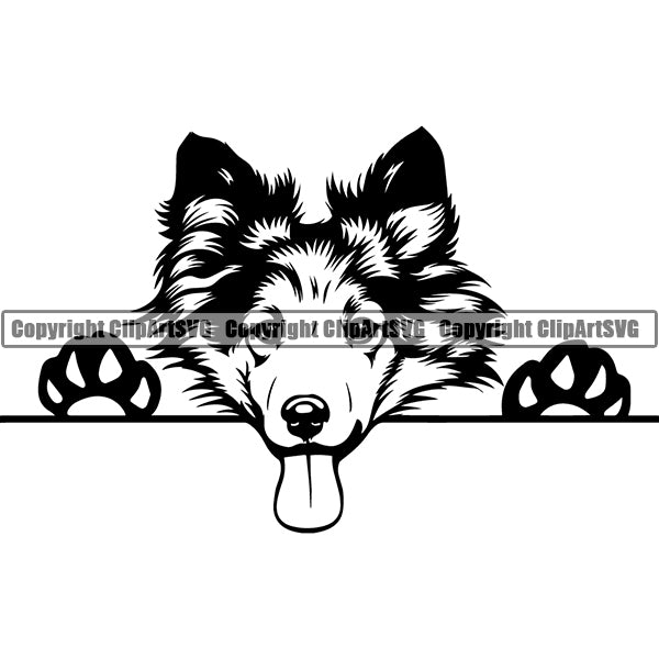 Shetland Sheepdog Peeking Dog Breed ClipArt SVG 006