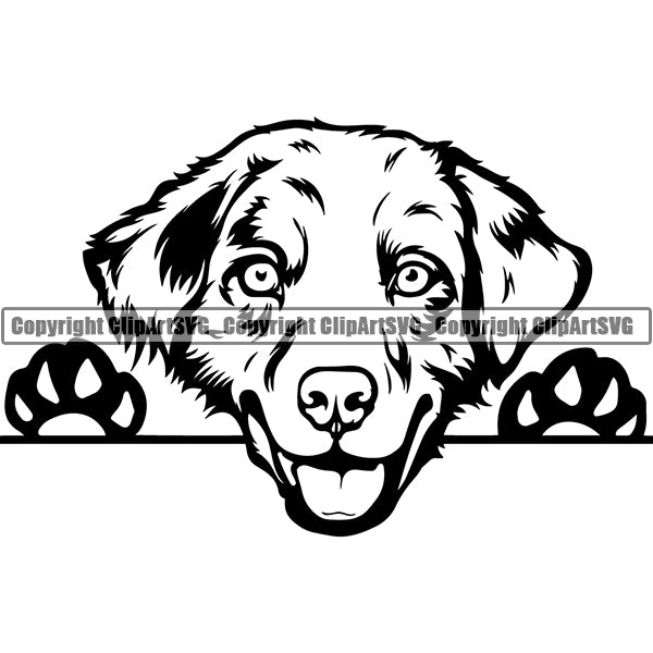 Australian Shepherd Peeking Dog Breed Clipart SVG 003