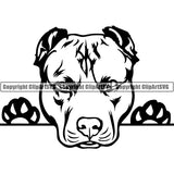 Pit Bull Peeking Dog Breed ClipArt SVG 018