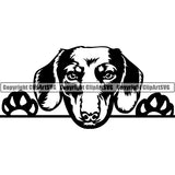 Dachshund Peeking Dog Breed Clipart SVG 012