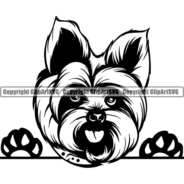 Yorkshire Terrier Peeking Dog Breed ClipArt SVG 015