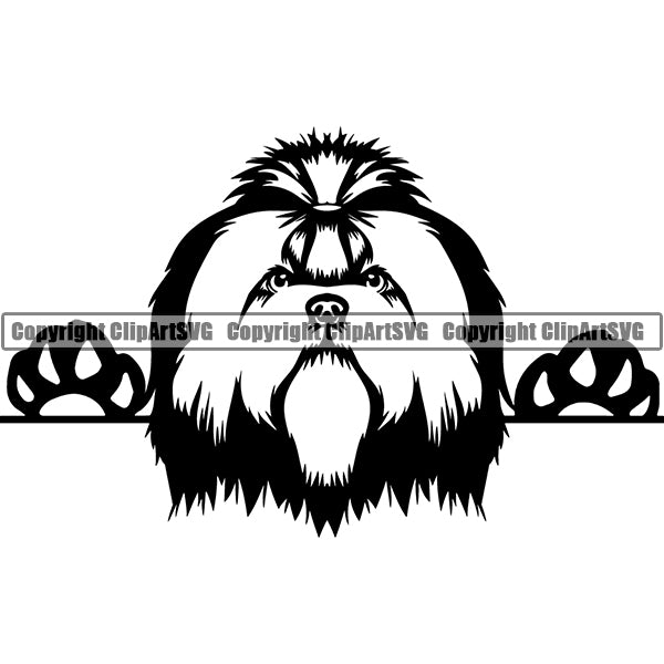 Shih Tzu Peeking Dog Breed ClipArt SVG 007