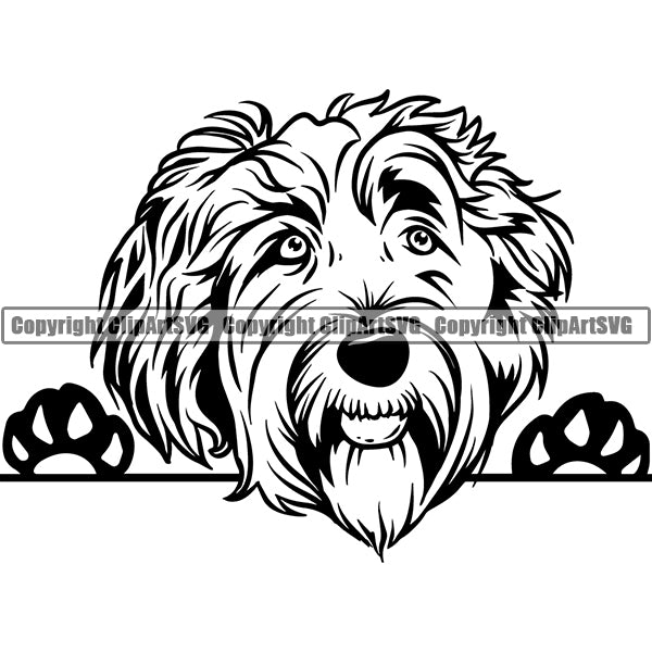 Labradoodle Peeking Dog Breed ClipArt SVG 004